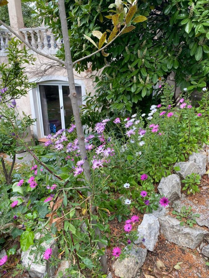 Chambre Spacieuse Independante Dans Villa Plus Parking Privee ル·カネ エクステリア 写真